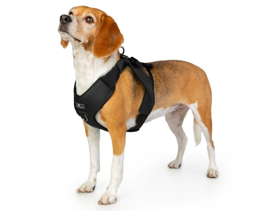 Sleepypod ClickIt Range Dog Car Safety Harness - Easy Lifting & Secure Travel for Your Dog