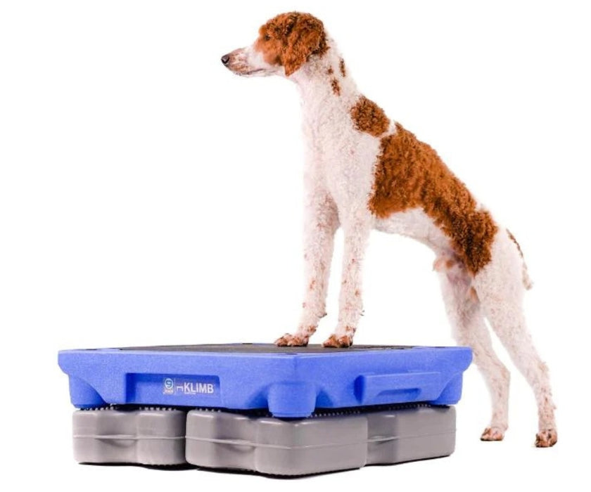 Blue-9 Dog Propel Air Platform - Inflatable Balance & Conditioning Platform for Strength, Stability & Rehabilitation Training