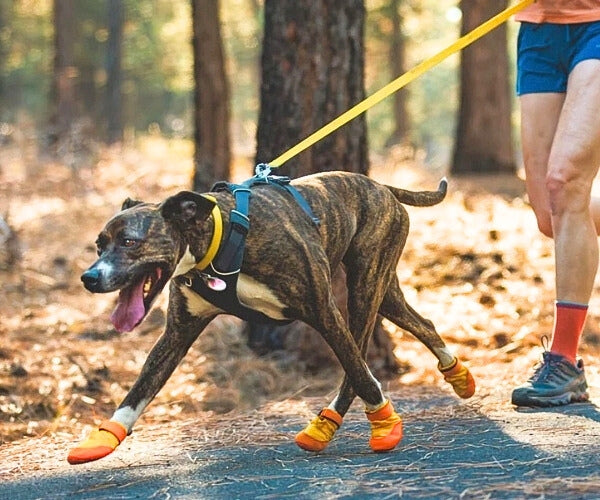 Ruffwear Summit Trex Dog Boots - Durable Paw Protection for All Seasons (two boots)