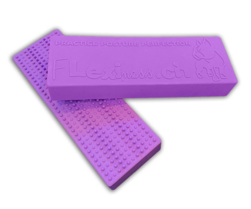 Flexiness Dog StackingBar Training Bar - Supports Precision & Paw Placement for Stability, Control & Rehab Training (1 Block, 35 × 11 × 5.5 cm)