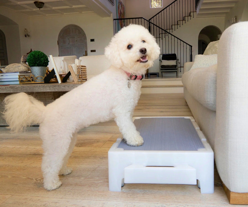 Blue-9 Dog Klimb Junior Platform - Low-Height Step for Injury Recovery, Mobility Support & Gentle Conditioning (61cm L × 39cm W × 16cm H)