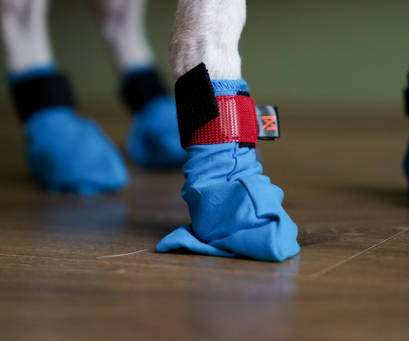 Non-Stop Dogwear Long Distance Dog Boots - Light Shoes with Good Grip to Protect Against Snow & Ice (four boots)