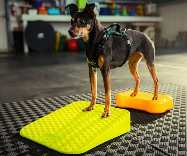 FitPaws Balance Ramp 14" - Green