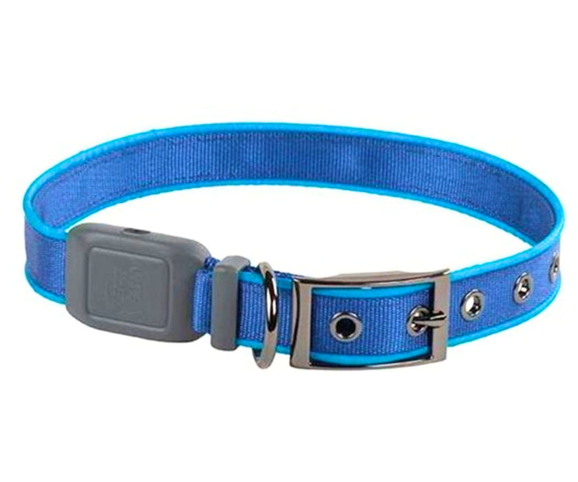 Nite Ize NiteDog Rechargeable LED Dog Collar - Bright End-to-End Illumination with Water Resistant Belt-Buckle Closure