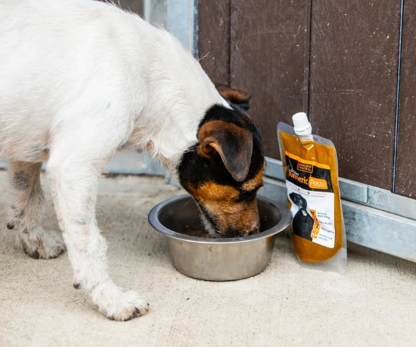 The Golden Paste Co. Turmeric Golden Paste for Dogs - Helps Ease Inflammation 100g