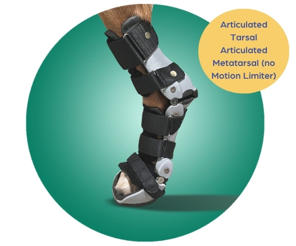 Scandi Orthopedic Hock and Tarsal Rear Splint Fully Customised - Grade 4 (rigid)