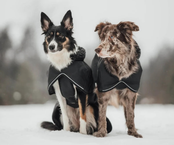 Hundlands Arctic Wool Dog Jacket - Extra Warm Merino Wool Coat to Keep Your Dog Warm In Cold Temperatures