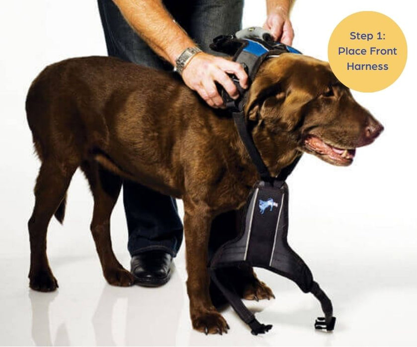 Help Em Up Dog Harness - U-Band Design (for male dogs whose penis is located further back)