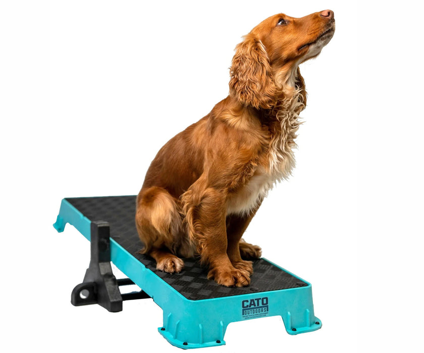Cato Dog Outdoors XL Training Plank - Non-Slip Elevated Platform for Obedience Training, Balance Work & Confidence Building (31cm W x 92cm L x 9cm H)