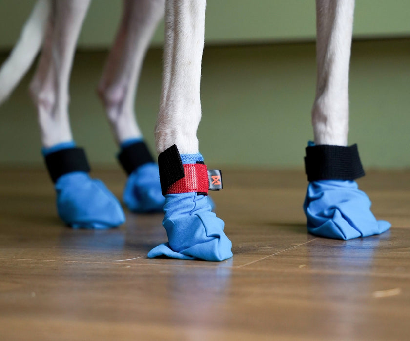 Non-Stop Dogwear Long Distance Dog Boots - Light Shoes with Good Grip to Protect Against Snow & Ice (four boots)