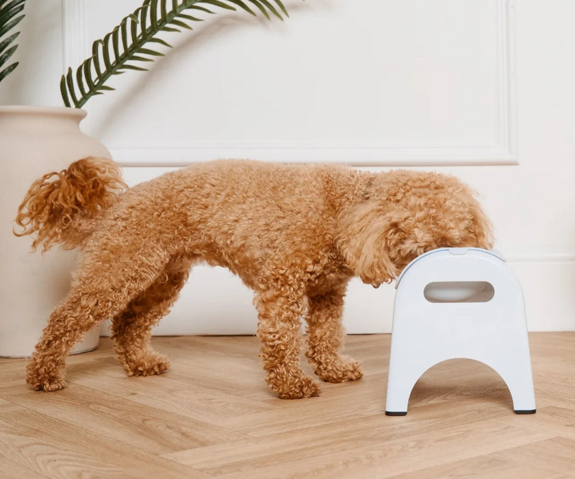 EasyEat Raised Feeder Set for Dogs - Encourages Better Posture, Comfortable Feeding and Supports Digestion