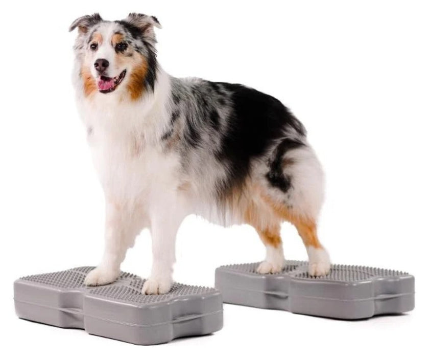 Blue-9 Dog Propel Air Platform - Inflatable Balance & Conditioning Platform for Strength, Stability & Rehabilitation Training