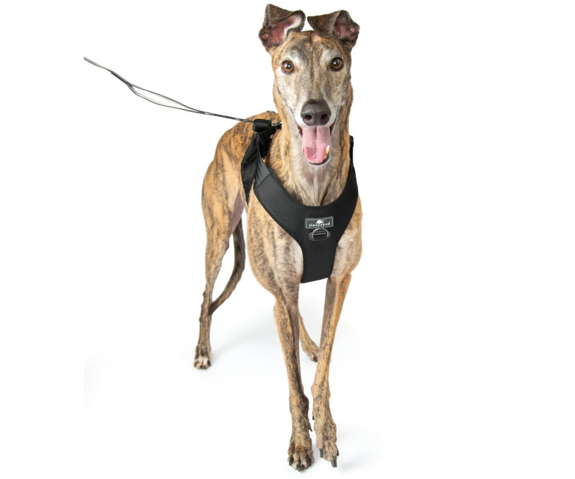 Sleepypod ClickIt Range Dog Car Safety Harness - Easy Lifting & Secure Travel for Your Dog