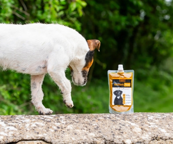 The Golden Paste Co. Turmeric Golden Paste for Dogs - Helps Ease Inflammation 100g