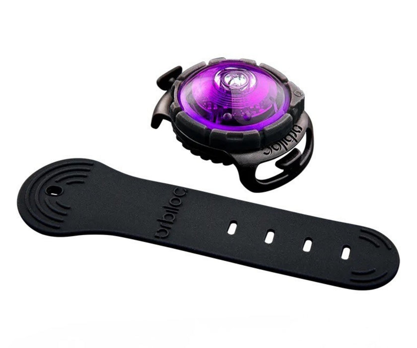 Orbiloc Dog Dual Safety Dog Light - Waterproof LED Light Visible Up to 5km for Collars, Harnesses and Leads