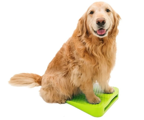 FitPaws Balance Ramp 14" - Green