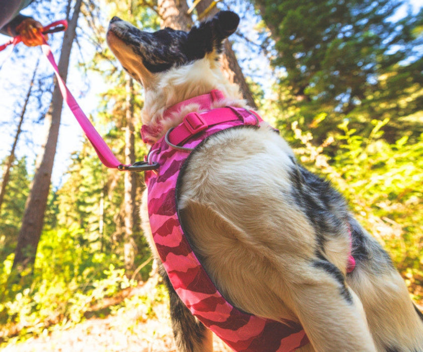 Ruffwear Front Range Dog Harness - Great Padded Everyday Harness With D-Ring