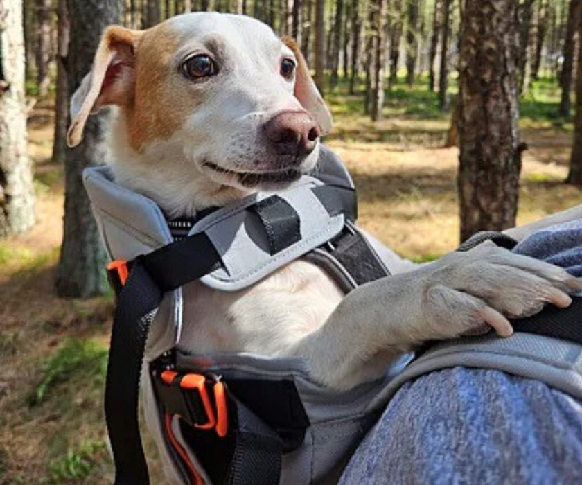 Little Chonk Maxine One Dog Backpack - Ergonomic Carrying for Tired & Limited Mobility Dogs (up to 22kg)