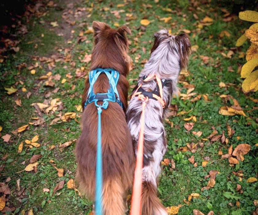 Non-Stop Dogwear Rush Dog Harness - Lightweight Support & Freedom of Movement for Your Dog
