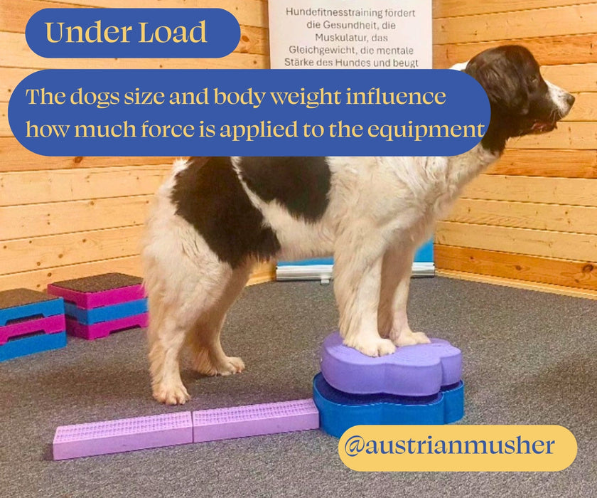 Flexiness Dog PawDisc Inflatable Training Disc - Builds Stability & Coordination for Rehab & Conditioning