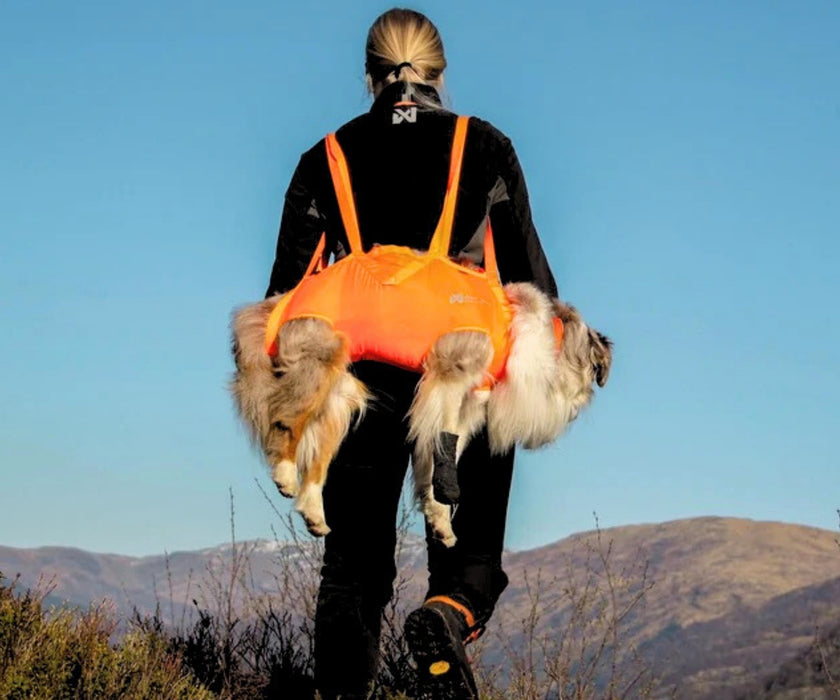 Non-Stop Dogwear Full Body Dog Sling - Help Your Dog Through Injury, Recovery & Adventure up to 50kg
