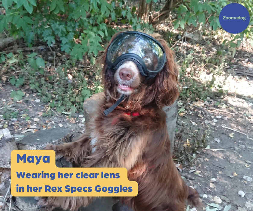 Rex Specs Spare Lenses - Excellent at Reducing Light (Dog Sunglasses)
