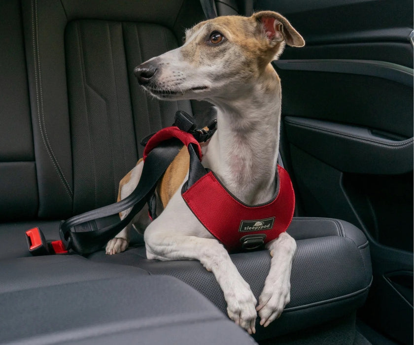 Sleepypod ClickIt Range Dog Car Safety Harness - Easy Lifting & Secure Travel for Your Dog