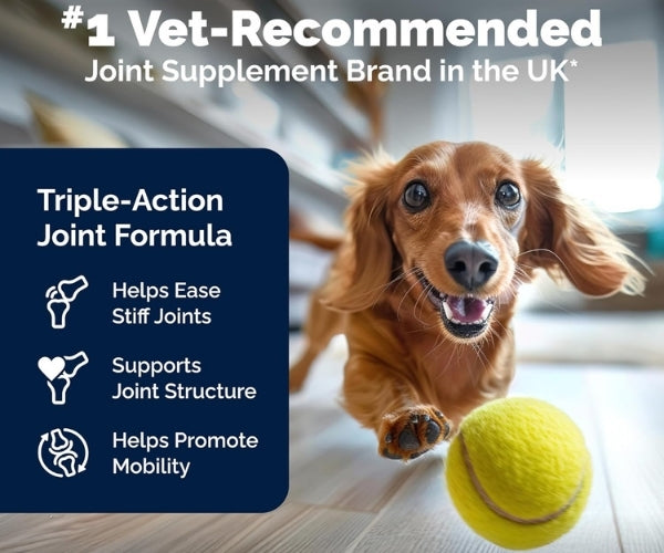 YuMOVE Joint Care Supplement for Adult Dogs - Soothes Stiff Joints 60, 120 or 300 Tablets