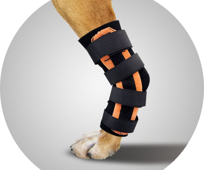 Scandi Orthopedic Dog Tarsal Rear Splint - Grade 2.5 (moderate)