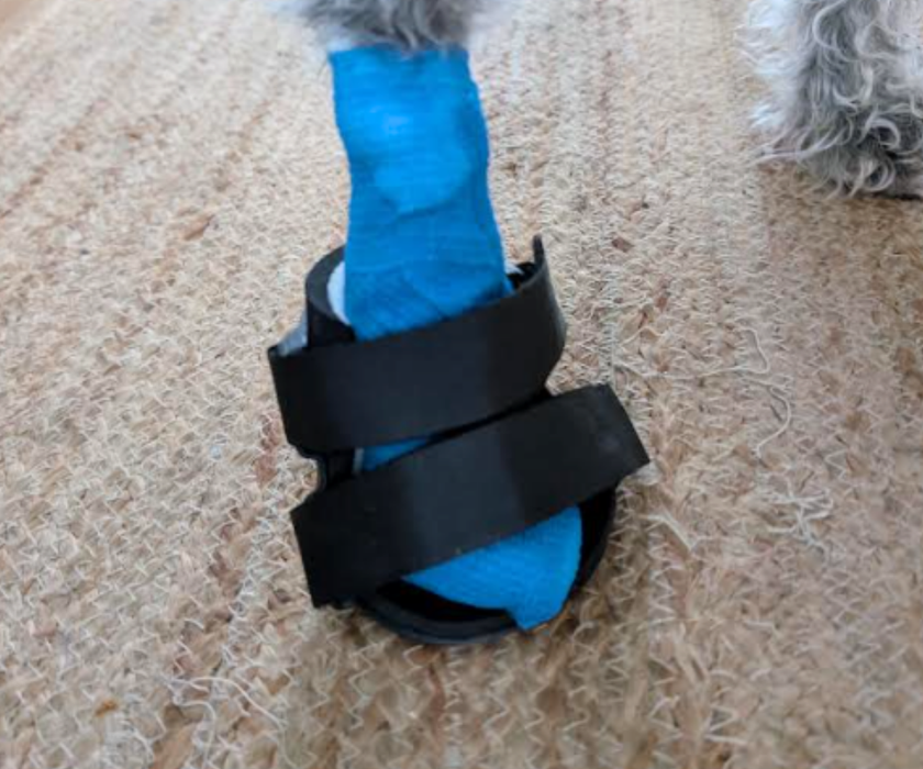 *NEW* Buster Boot Paw Dog Splint by Zoomadog - Ideal for Broken Toes & Paw Injuries (firm)