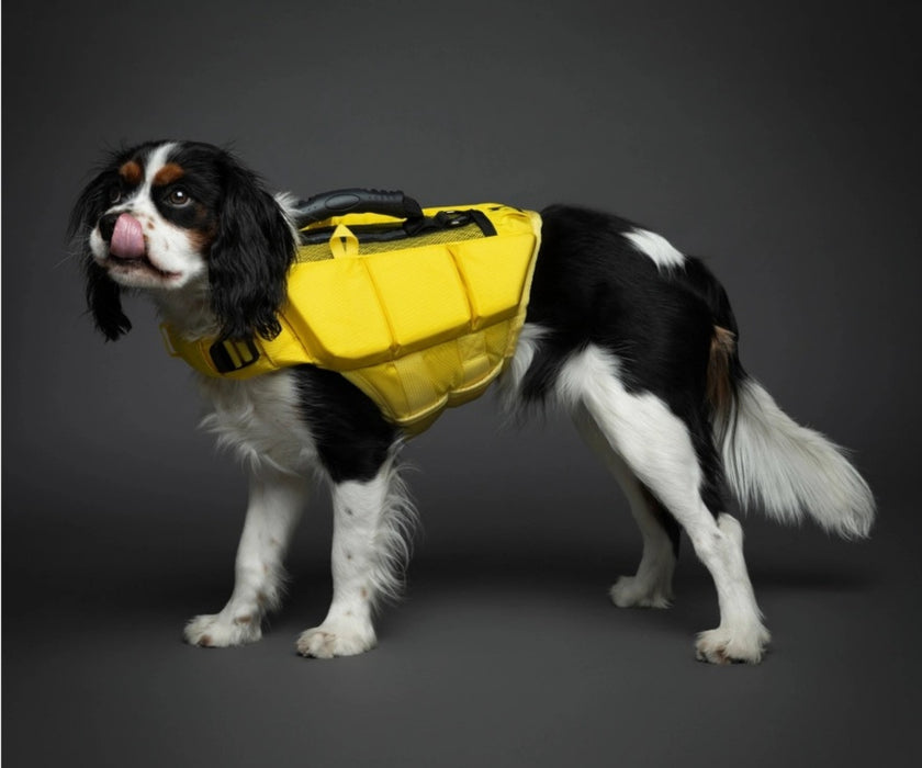 Noah & Paw Dog Life Jacket - Human Standards Life Jacket with Reinforced Rescue Handles for Comfortable & Supportive Swimming