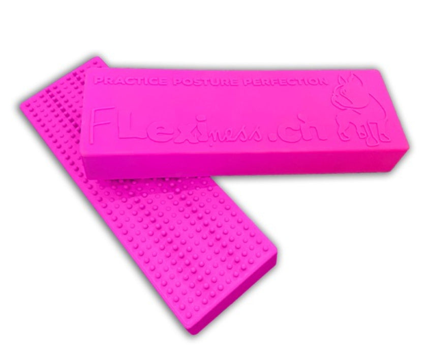 Flexiness Dog StackingBar Training Bar - Supports Precision & Paw Placement for Stability, Control & Rehab Training (1 Block, 35 × 11 × 5.5 cm)