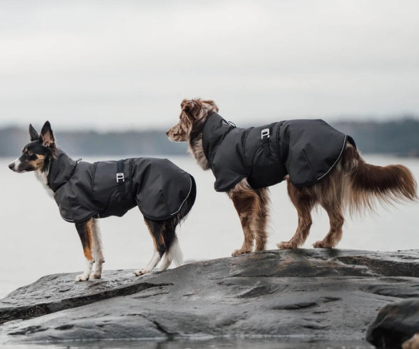 Hundlands Arctic Wool Dog Jacket - Extra Warm Merino Wool Coat to Keep Your Dog Warm In Cold Temperatures
