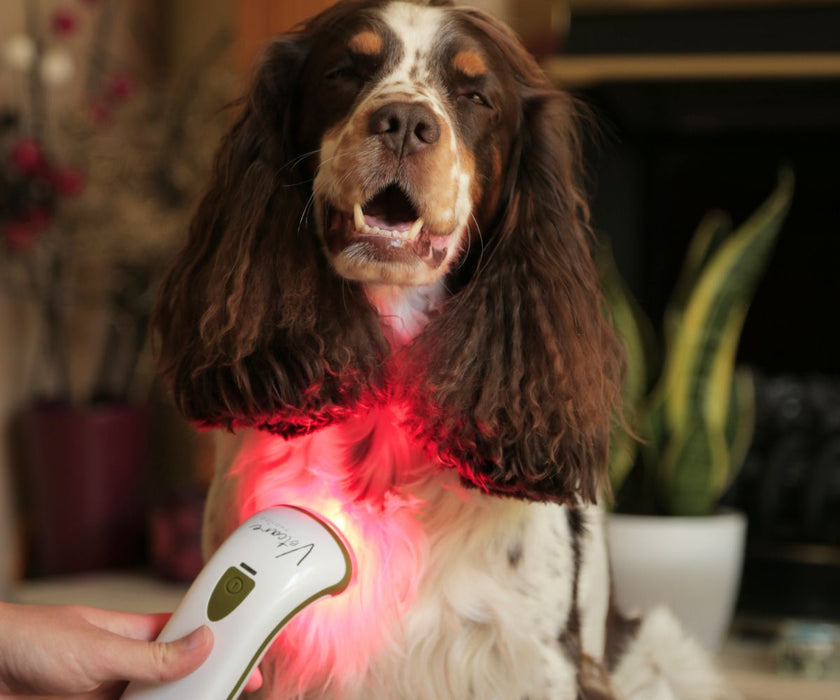 Photizo Vetcare - LED Light Therapy - Excellent for Arthritis, Stiffness and More. Accelerates Healing