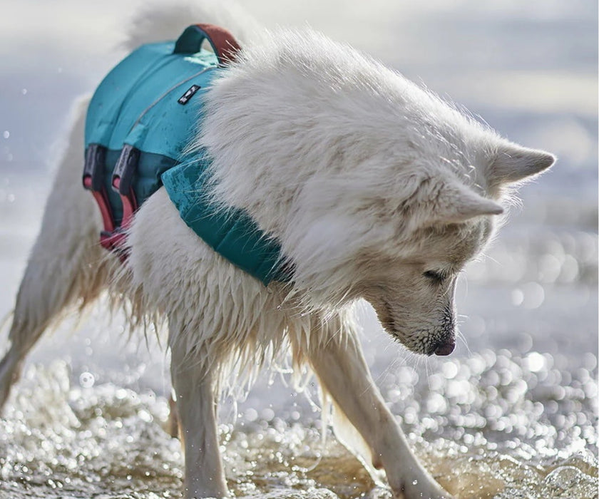 Hurtta Life Savior ECO Dog Life Jacket - Lightweight Life Jacket for Swimming & Water Adventures