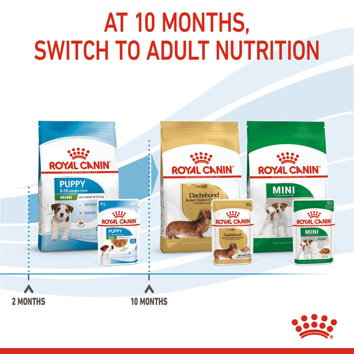 Royal Canin Mini Puppy Dog Food Chunks In Gravy 85g x 12 Pouches