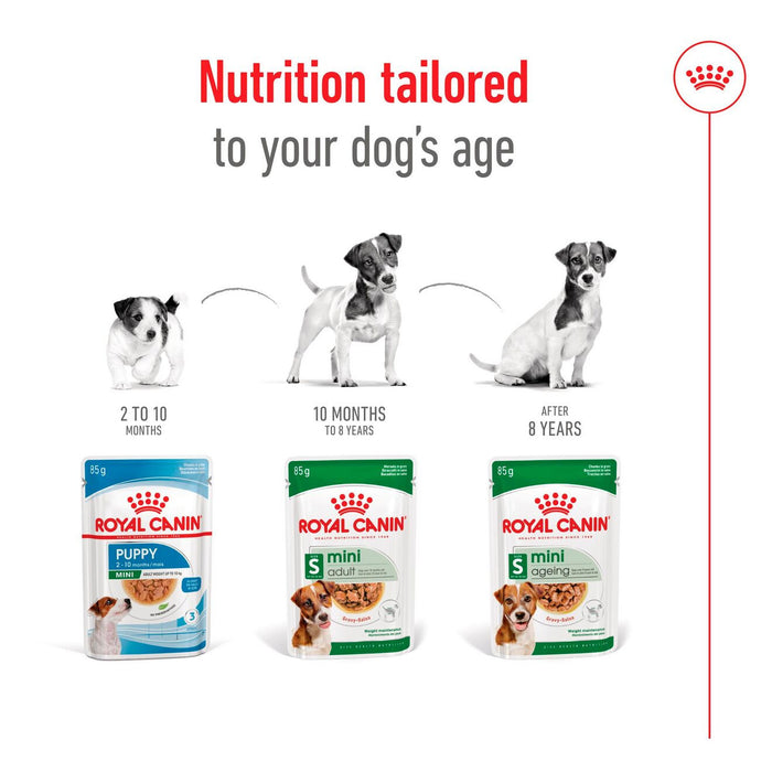 Royal Canin Mini Adult Wet Dog Food 85g x 12 Pouches
