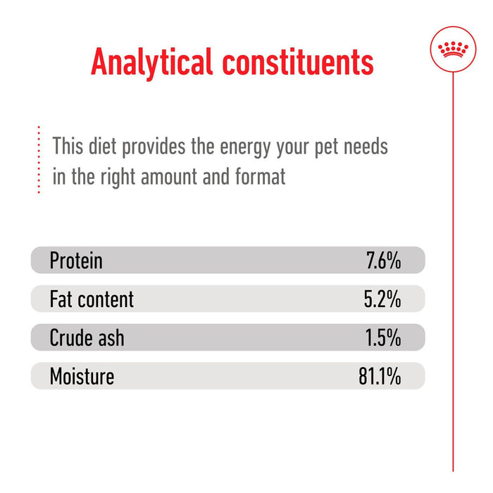 Royal Canin Mini Adult Wet Dog Food 85g x 12 Pouches