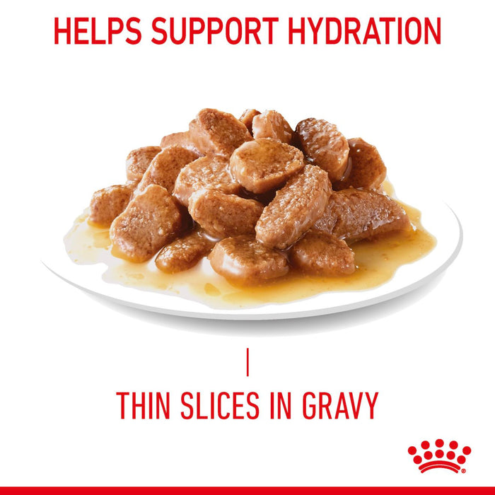 Royal Canin LightWeight Care Thin Slices in Gravy Cat Food 85g x 12 Pouches