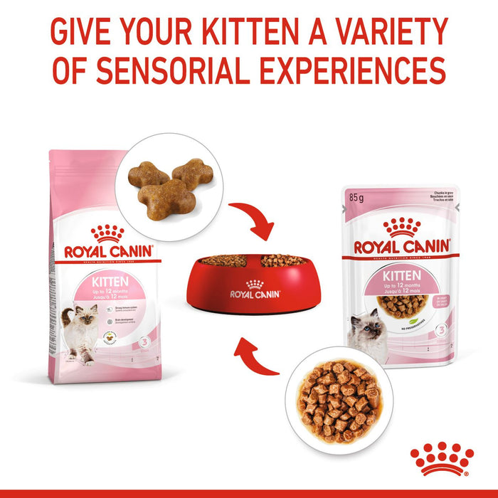 Royal Canin Kitten Wet Cat Food in Gravy 85g x 12 Pouches