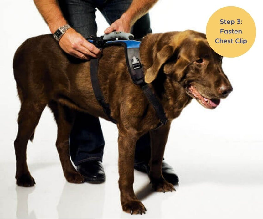 Help Em Up Dog Harness - U-Band Design (for male dogs whose penis is located further back)