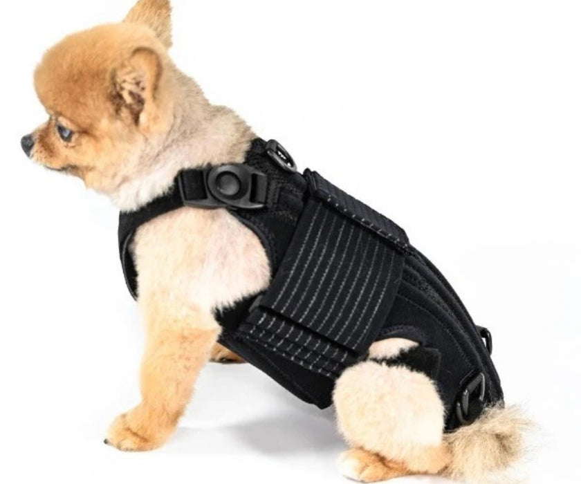 L'il Back Bracer Heated Back Brace for Dogs - Therapeutic Heat for Back Muscles & Joints