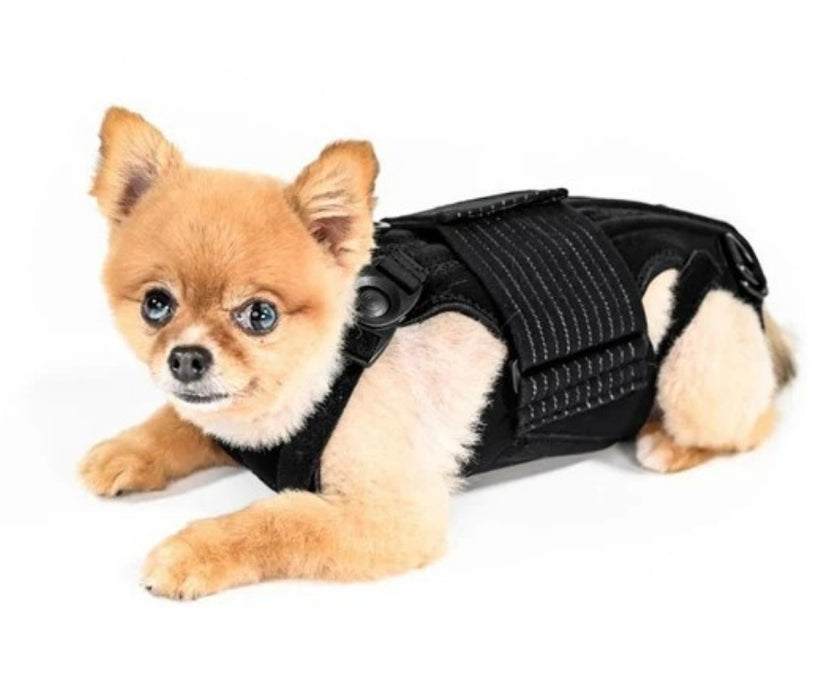 L'il Back Bracer Heated Back Brace for Dogs - Therapeutic Heat for Back Muscles & Joints