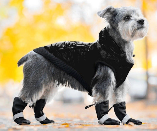 Canada Pooch Soft Shield Dog Boots - Cold Weather Boots With Rubber Grip (four boots)