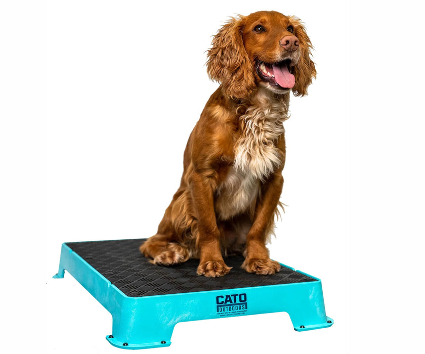 Cato Dog Outdoors Training Board - Durable, Non-Slip Training Platform for Stability & Confidence Building (41cm W x 61cm L x 9cm H)