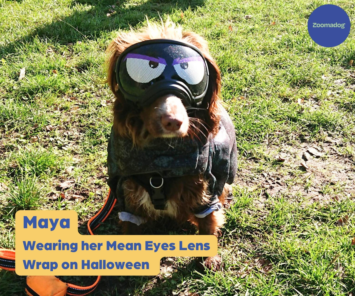 Maya wearing her vinyl stickers