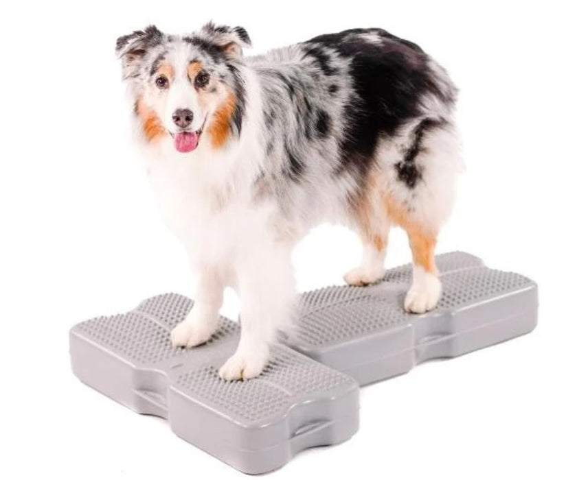 Blue-9 Dog Propel Air Platform - Inflatable Balance & Conditioning Platform for Strength, Stability & Rehabilitation Training