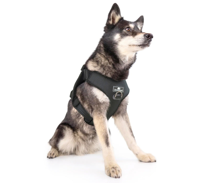 Sleepypod ClickIt Range Dog Car Safety Harness - Easy Lifting & Secure Travel for Your Dog