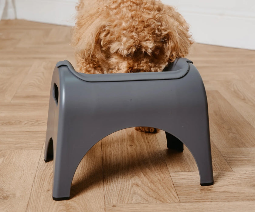 EasyEat Raised Feeder Set for Dogs - Encourages Better Posture, Comfortable Feeding and Supports Digestion