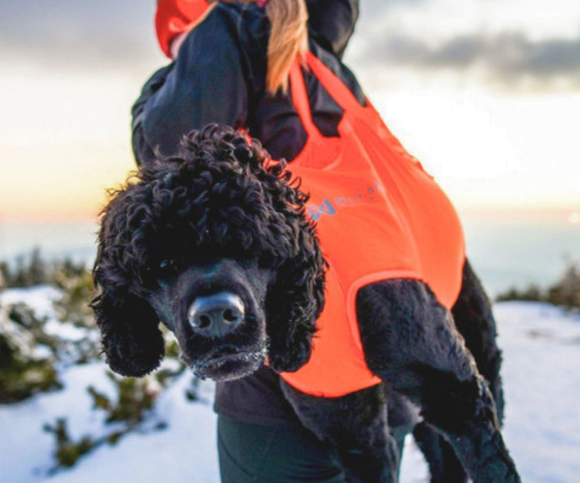 Non-Stop Dogwear Full Body Dog Sling - Help Your Dog Through Injury, Recovery & Adventure up to 50kg